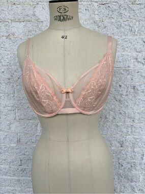 Lejaby Sheer Lace Bra